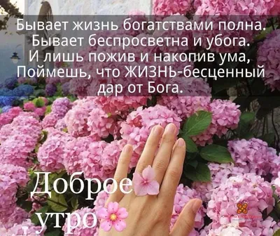 Благословенного дня желаю! ❤️ Красивое музыкальное пожелание❤️ - YouTube