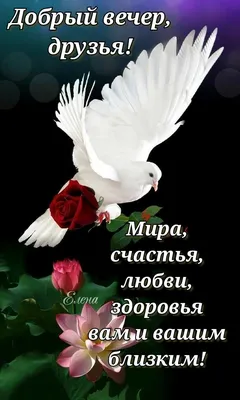 Благословенного вечера! 🕊️🌹 | Милые открытки, Винтажные предпосылки,  Благодарственные открытки