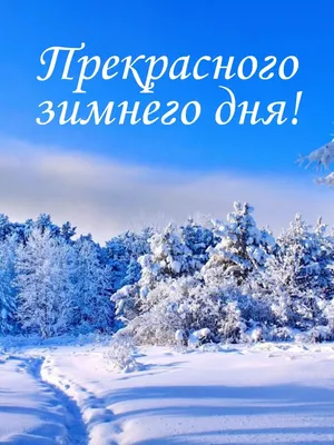 🌞🍰Наидобрейшего зимнего утра!❄😊Благословенного дня🙏отличной  недели💗Красивая музы - YouTube