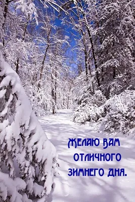 🌞💗🎄❄С добрым благословенным зимним утром! 🌞💗🎵 красивое музыкальное  пожелание с добрым утром!🎵💗 - YouTube