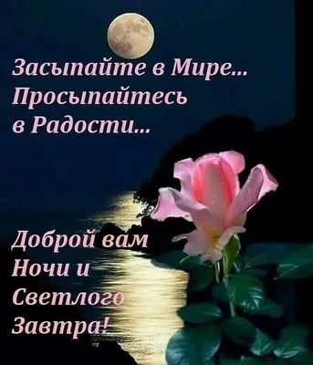 Картинка: Закрываю в тихо глазки и опять в тишине шепчу: "Спокойной ночи!"