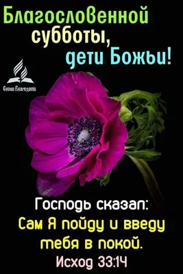 Идеи на тему «Суббота» (56) | субботы, открытки, доброе утро