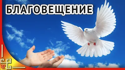 Салехард | Благовещение 2022: что нужно сделать 7 апреля, чтобы до Пасхи  слезы не лить - БезФормата