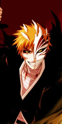 BLEACH: The Official Anime Coloring Book (Bleach: The Official Coloring  Book): VIZ Media: 9781974740918: : Books