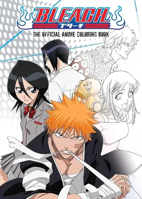 Bleach (TV Series 2004–2023) - Plot - IMDb