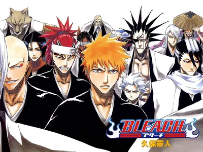 Bleach Season 4 | Rotten Tomatoes