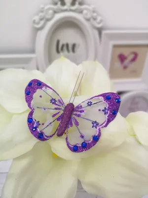 Набор для декорирования блёстками «Блестящие бабочки» | Официальный магазин  Djeco 🦎