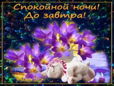 Спокойной ночи #Волшебных снов 🐅🖐️ | TikTok