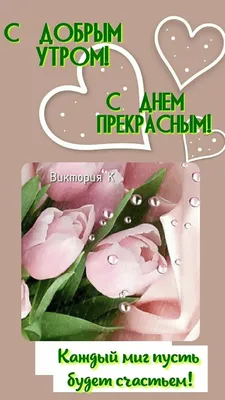 Пин от пользователя Нэлла Боринсих на доске поздравления | Доброе утро,  Счастливые картинки, Утренние сообщения