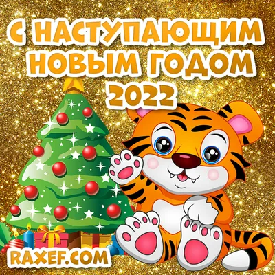 С наступающим новым годом 2022! Открытки с тигром, новые блестящие  картинки! Дорогие люди! Все-все! Все, кто читает и не... Страница 5