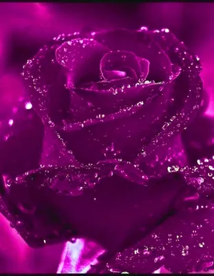 1 шт. искусственные цветы, кристалл, блестящая Роза, подарок на день  рождения для девочек, гостиная, декоративные Блестящие розы, украшение для  дома | AliExpress