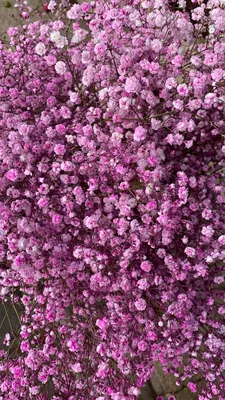 Купить Набор пуговиц 'Блестящие цветы', Dress it up, цена, фото, описание -  в Санкт-Петербурге в интернет-магазине Искусница