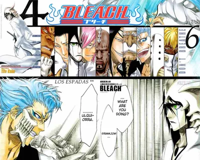 Bleach Espada Wallpaper ブリーチ | The first was so much fun, I … | Flickr