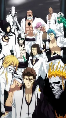 Download wallpaper Anime, Bleach, Espada, Arankaru, section other in  resolution 1920x1080