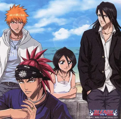 Ичиго, Ренджи, Рукия, Бьякуя | Bleach anime, Bleach characters, Bleach manga