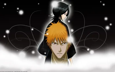 Pin by Uzumakikorra on Ichigo Kurosaki and Rukia Kuchiki | Bleach anime,  Bleach characters, Bleach rukia