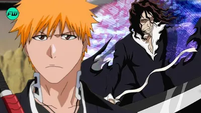 Bleach -- Ichigo Kurosaki Anime Decal Sticker – KyokoVinyl