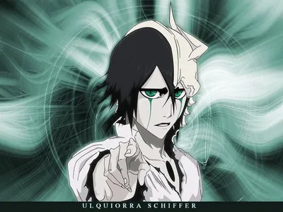 Bleach: 10 Facts You Didn't Know About Ulquiorra Cifer, The Espada Of  Emptiness