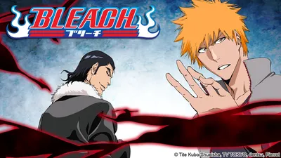 BLEACH: TYBW Part 2 Gets New Visual, Early Screening for First 2 Episodes  in June - Anime Corner