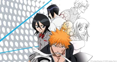 BLEACH: The Official Anime Coloring Book (Bleach: The Official Coloring  Book): VIZ Media: 9781974740918: : Books