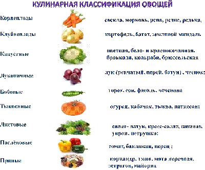 Топ-5 простых осенних блюд, которые можно приготовить из сезонных овощей и  фруктов