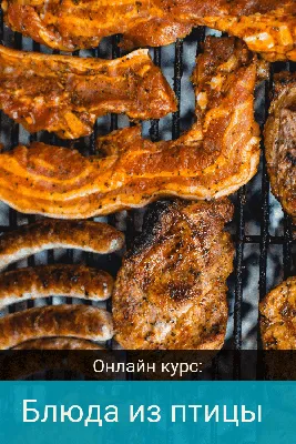 Блюда из мяса и птицы - купить с доставкой по выгодным ценам в  интернет-магазине OZON (730783999)