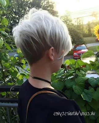 Короткая стрижка блонд со спины (43 лучших фото)