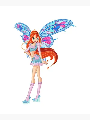 Winx Club Folders with rubber band in design of fairy Bloom in denim dress  370 x 271 x 7 mm - VMD parfumerie - drogerie