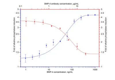 Bits to Bitmaps: A simple walkthrough of BMP Image Format | by Uday  Hiwarale | System Failure | Medium