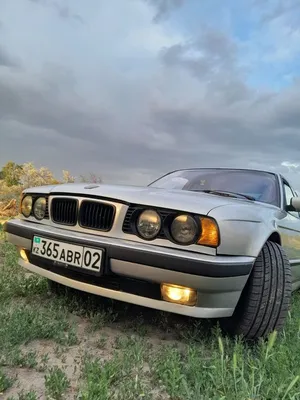 File:BMW 525 (3538948081).jpg - Wikipedia