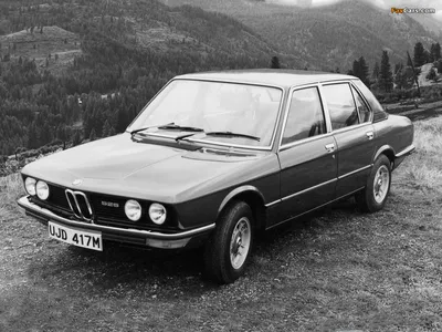 Classic 1981 BMW 525 For Sale - Dyler