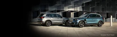 2023 BMW X5: Choosing the Right Trim - Autotrader