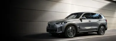 The BMW X5