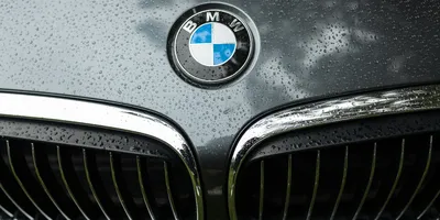 A High-Performance BMW X8 M Crossover Coupe Is Probably Coming