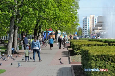 Карта Бобруйска с улицами на спутниковой карте онлайн