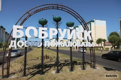 Въезд в Бобруйск украсила декоративная арка. Узнали, как создавали  «гостевые ворота» | 