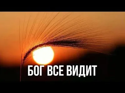 БОГ ВИДИТ