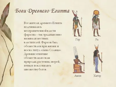 Боги и демоны Древнего Египта: в царстве великого солнца Карлова К.Ф. -  купить книгу с доставкой по низким ценам, читать отзывы | ISBN  978-5-17-158185-5 | Интернет-магазин 