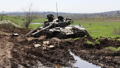 Бокс. Профессиональный бокс: бои в 2023, онлайн трансляции, новости по боям  без правил, ММА, UFC - Чемпионат