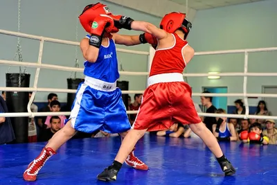 Занятия боксом для детей в Харькове 🥊 Секция детского бокса - группы 3-5  лет и 6-12 лет - 