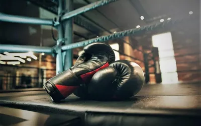 Boxing Sport Бокс - Бесплатное фото на Pixabay