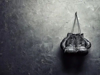 Боксерские перчатки EVERLAST ELITE PROSTYLE черные