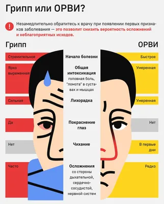 Как уберечься от гриппа | ГУЗ Областной врачебно-физкультурный диспансер