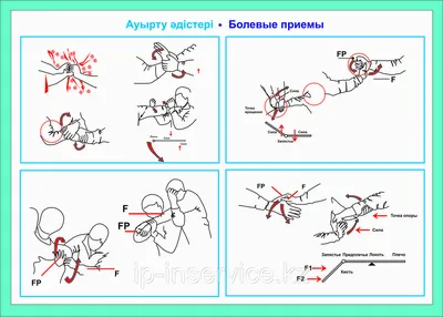 Ямальские полицейские показали болевые приемы и броски на татами | «Красный  Север»