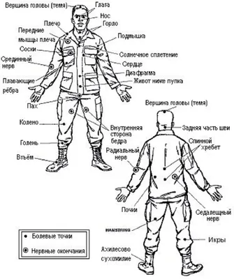 Триггерная точка: что это такое? | Триггерные точки на теле человека