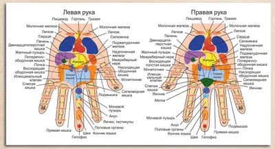 Болевые точки — Википедия