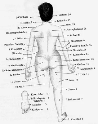 Почему болит спина? 4 компонента болей в спине