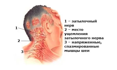 ⚕ Болевые точки при болях в животе и тазе - PULSE