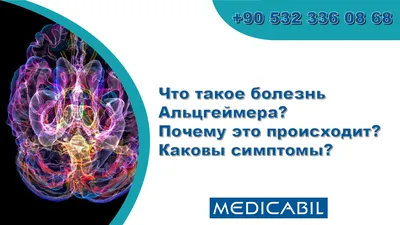 Всё, что надо знать про болезнь Альцгеймера. Чем может помочь лечебное  питание? | Доктор Наталья Павлюк | Дзен