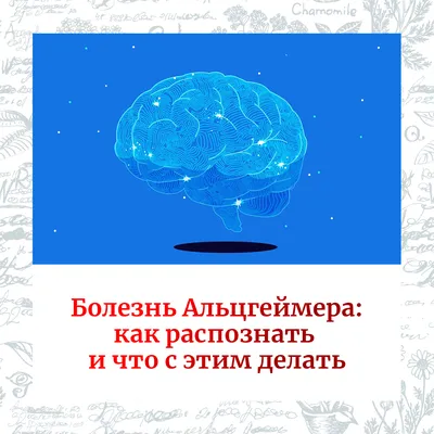 В Международный день распространения информации о болезни Альцгеймера  специалисты проекта Деменция.net запускают марафон полезных привычек